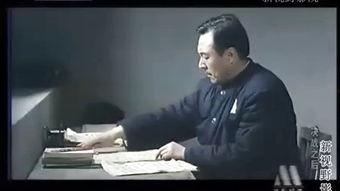 国产经常视频,创意无限，魅力四射