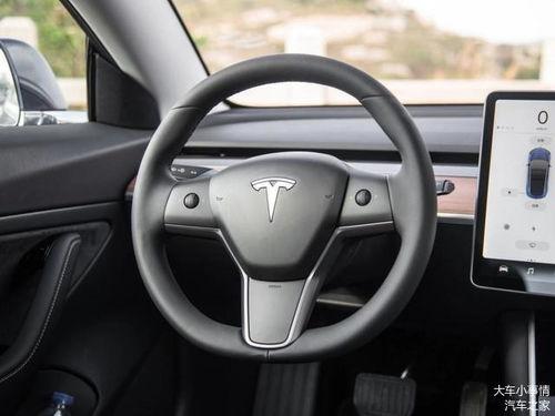 国产特斯拉视频解析,揭秘中国新能源汽车的崛起之路